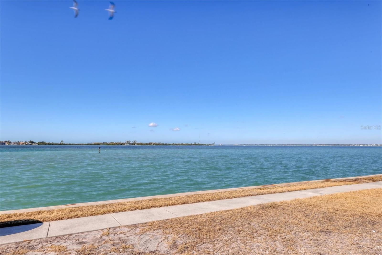 SARASOTA HARBOR - Residential Lease