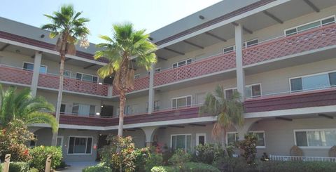 Photo of 2073 Denmark Street #43, Clearwater, FL 33763 (MLS # TB8463258)