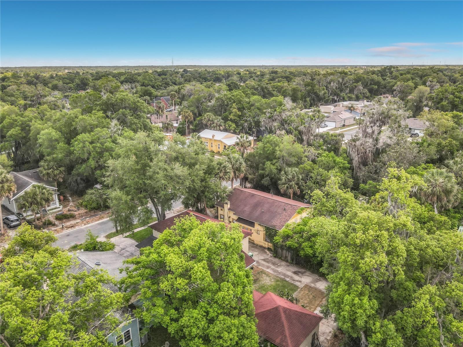 PARK PLACE IN MILLERS ADD DELAND - Residential