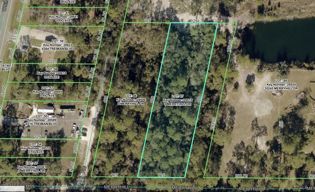 Photo of Merryhill Drive, Webster, FL 33597 (MLS # TB8546101)