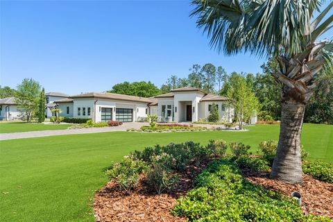 Tiny photo for 15500 Pendio Drive, Montverde, FL 34756 (MLS # G5096247)