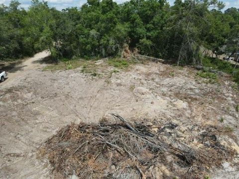 Tiny photo for Z SE 143rd Ln, Umatilla, FL 32784 (MLS # O6409411)