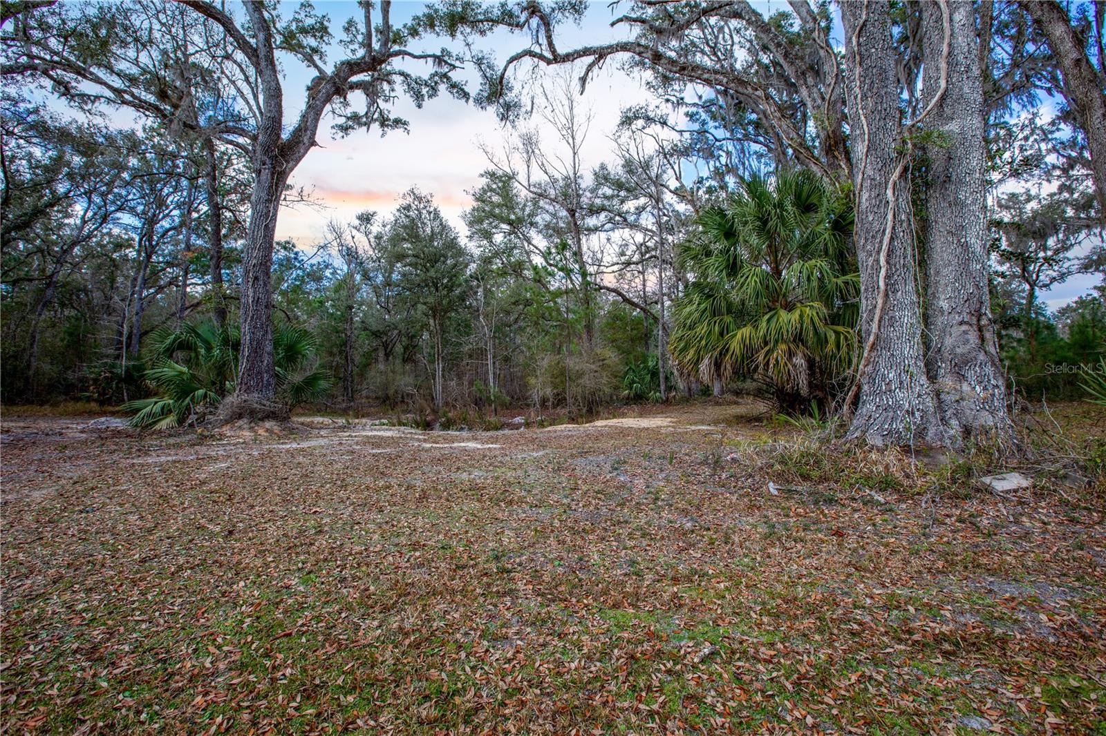 SUWANNEE RIVER RANCHETTS - Residential
