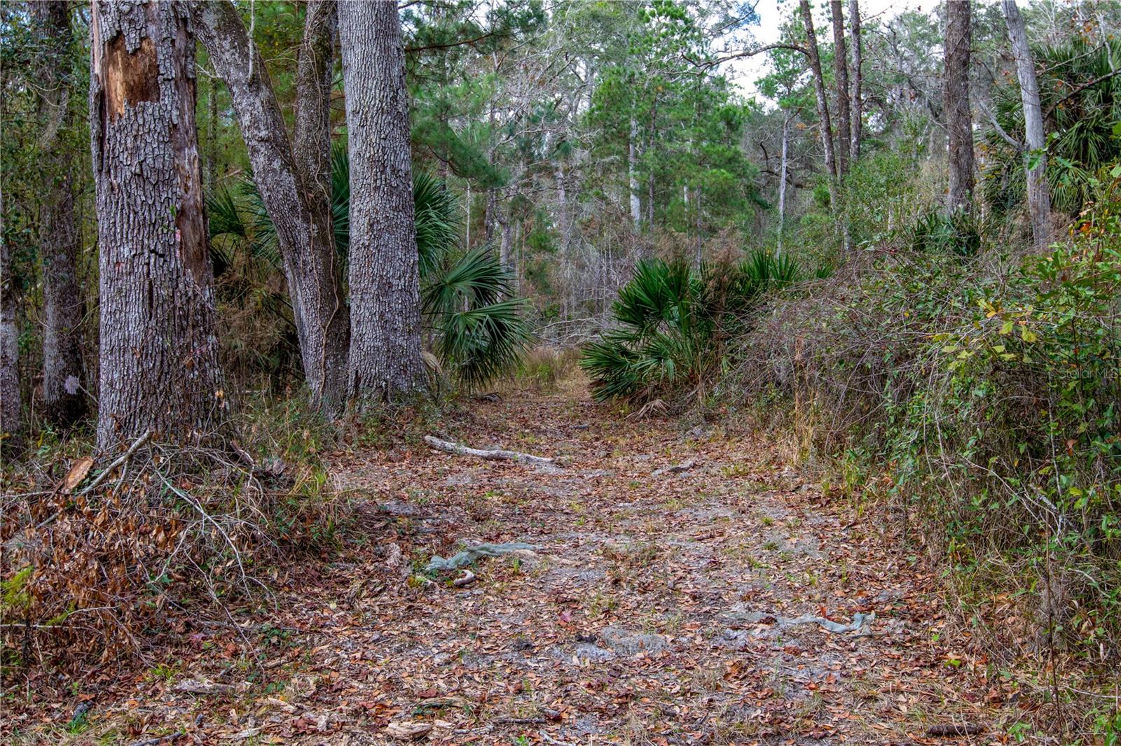 SUWANNEE RIVER RANCHETTS - Residential