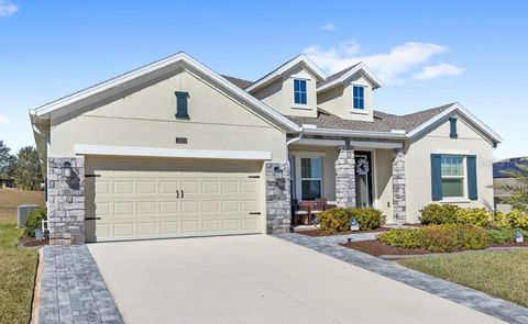 5325 BASALT DRIVE MOUNT DORA FL 32757