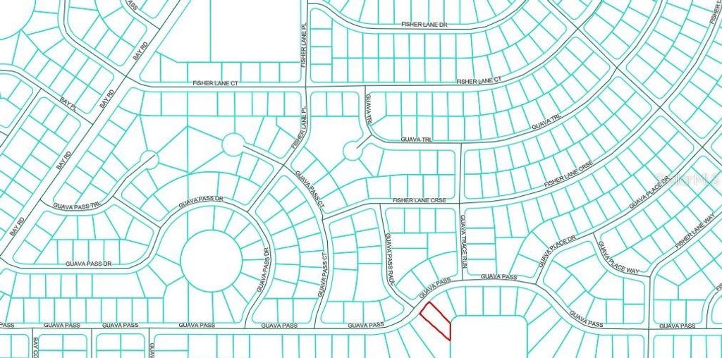 Photo of Guava Pass, Ocklawaha, FL 32179 (MLS # O6336159)