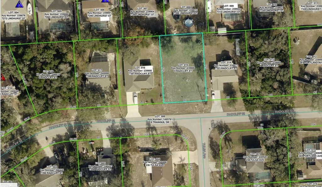 Photo of 7315 Radcliff Street, Spring Hill, FL 34606 (MLS # W7884148)