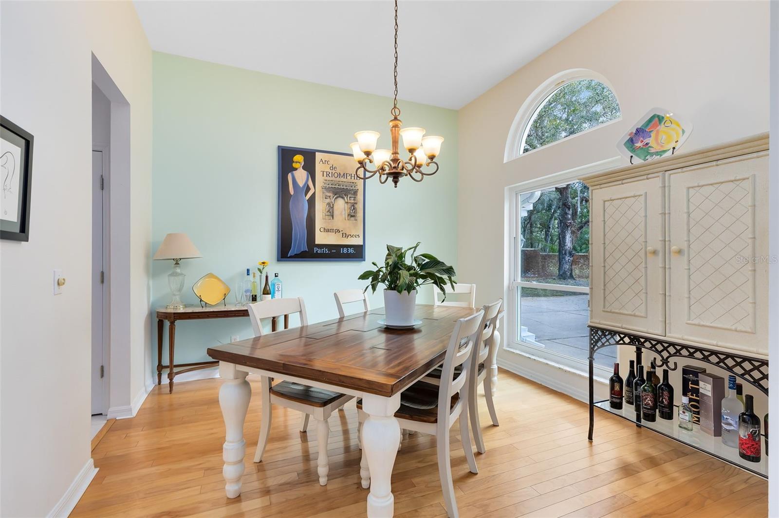 520 LONG LAKE COURT
