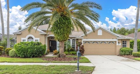 Photo of 8729 Torchwood Drive, Trinity, FL 34655 (MLS # W7877251)