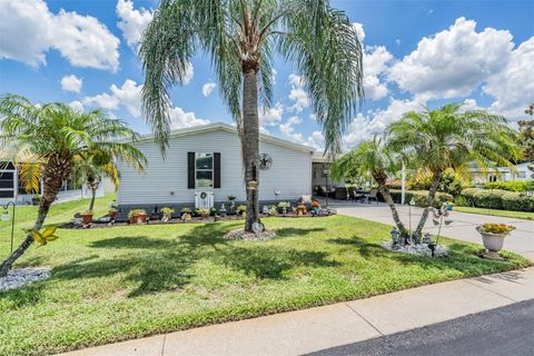 A home in ZEPHYRHILLS