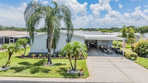 A home in ZEPHYRHILLS