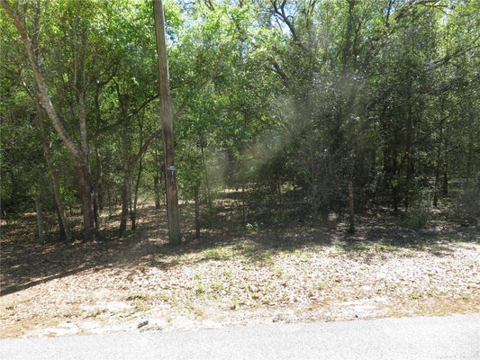FLORIDA AVENUE, SAN ANTONIO, FL 33576 - Image b3630fcf5be2d7fcfa6edb4ec31f5479/1501471839