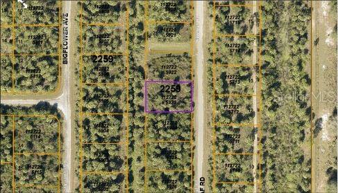 PORT CHARLOTTE SUB 46 - Land