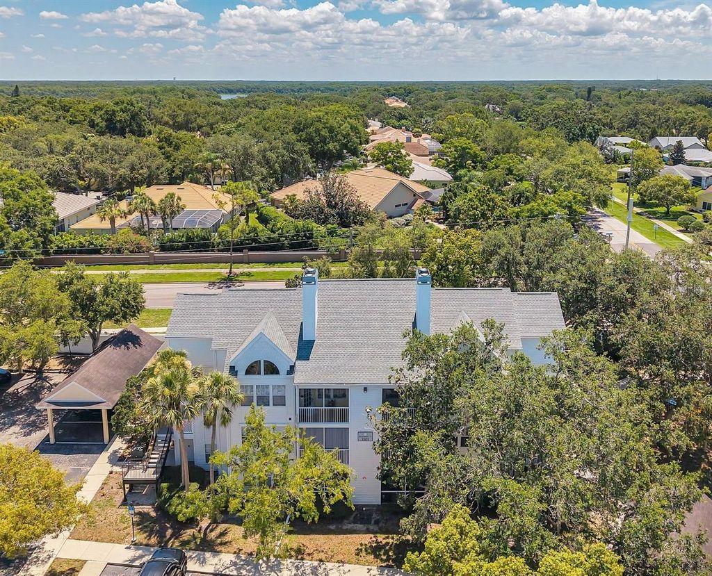Photo of 3301 Haviland Ct #301, Palm Harbor, FL 34684 (MLS # TB8398667)