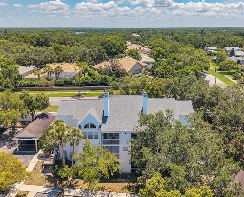 3301 HAVILAND CT 301 PALM HARBOR FL 34684