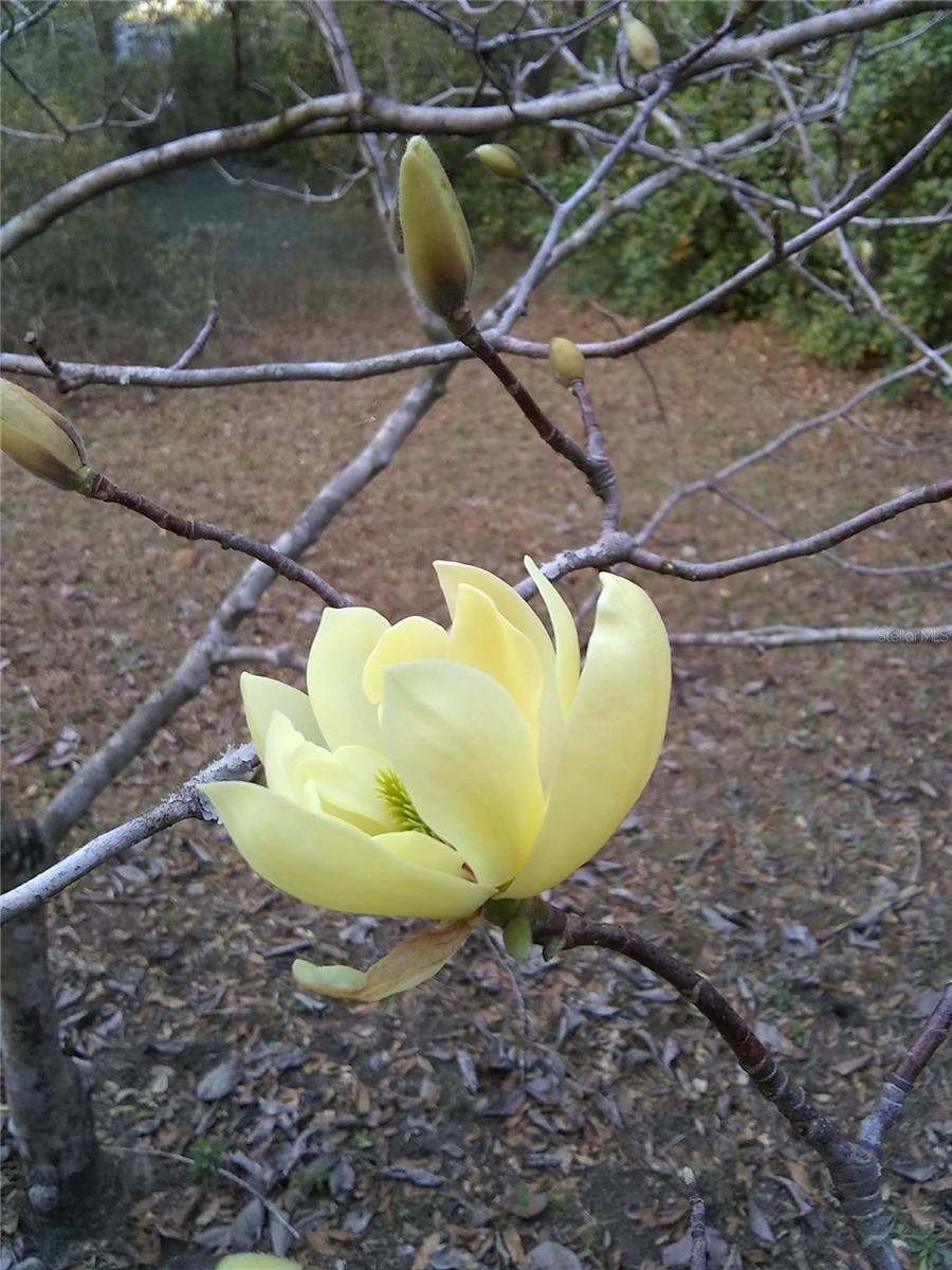 RAINBOW LAKES ESTATE - Land