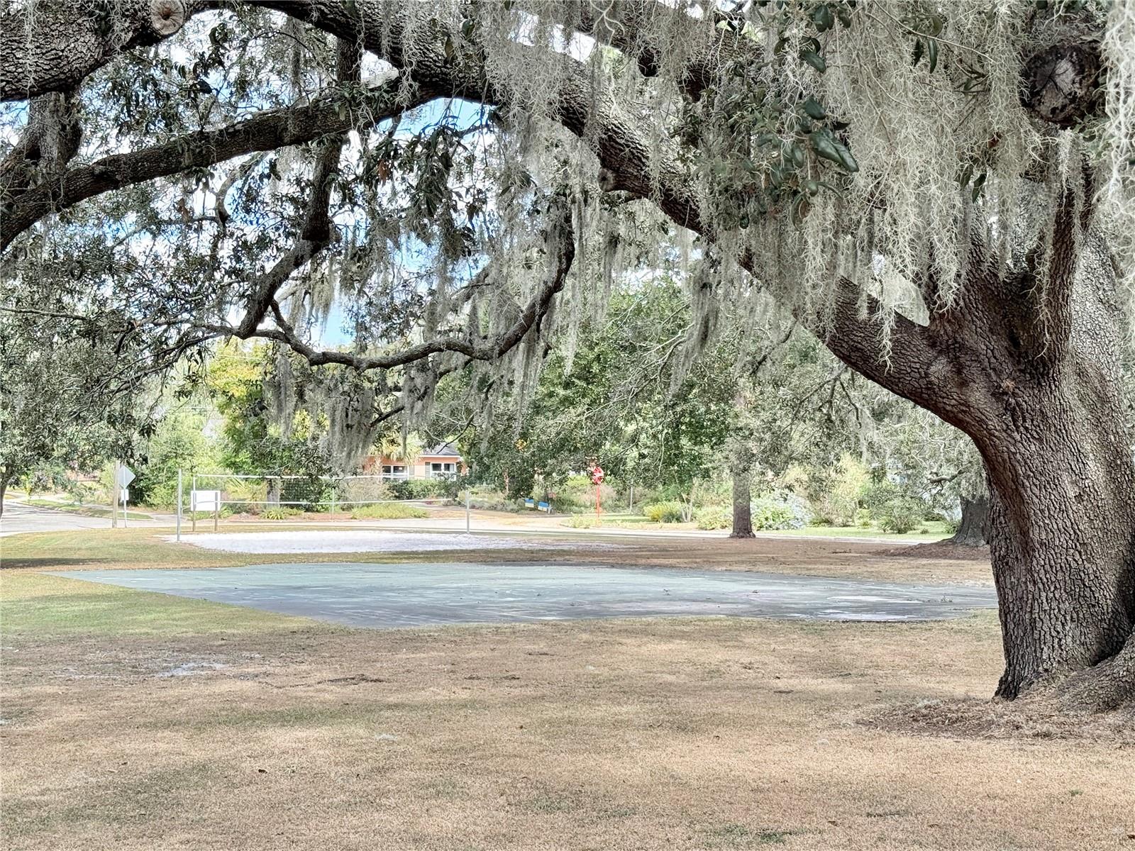 TEMPLE TERRACE ESTATES - Residential