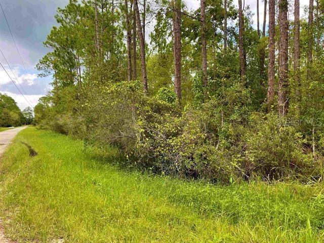 ROYAL PALMS SEC 32 - Land