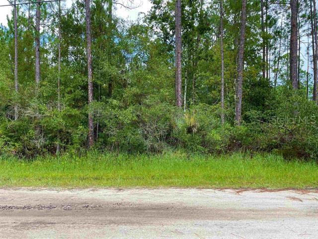 ROYAL PALMS SEC 32 - Land