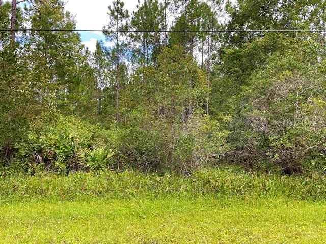 ROYAL PALMS SEC 32 - Land