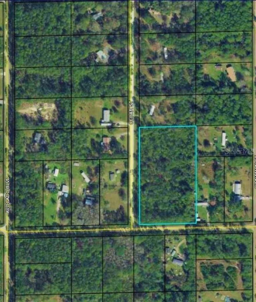 Over 3 Acres of land ready for your future dream home! Enjoy Peace and Tranquility in this Quiet community with No HOA. Room for all of your toys, work equipment, and farm animals free of restrictions. High and dry, build your new home worry free. Located in Daytona North Subdivision of Western Flagler County. This property is close to Haw Creek Preserve, Crescent Lake, Lake George, Dead Lake, and Bull Creek Fish Camp. You are only 15 minutes to shopping and 30 minutes to the ocean.