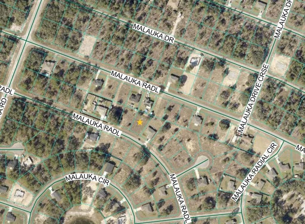 Photo of Malauka Radial, Ocklawaha, FL 32179 (MLS # S5154480)