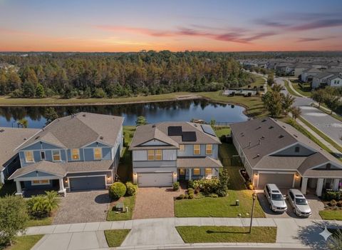 4604 BALLANTRAE BOULEVARD LAND O LAKES FL 34638