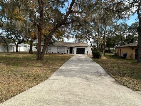 A home in SPRING HILL