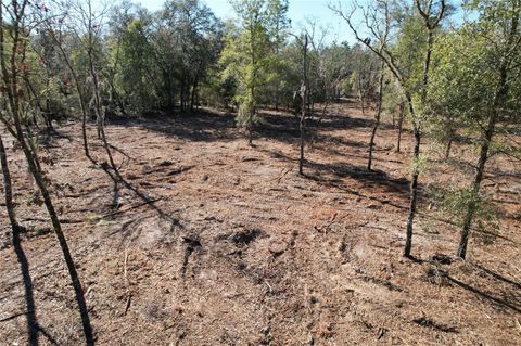 Tiny photo for NE 116th Street, Archer, FL 32618 (MLS # O6370229)