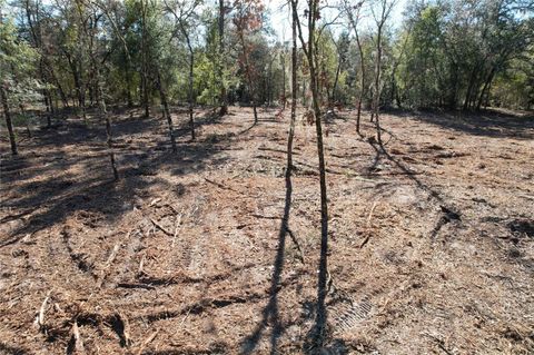 Photo of NE 116th Street, Archer, FL 32618 (MLS # O6370229)