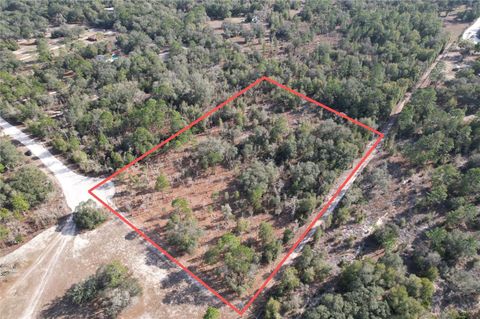 Tiny photo for NE 116th Street, Archer, FL 32618 (MLS # O6370229)