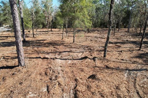 Tiny photo for NE 116th Street, Archer, FL 32618 (MLS # O6370229)