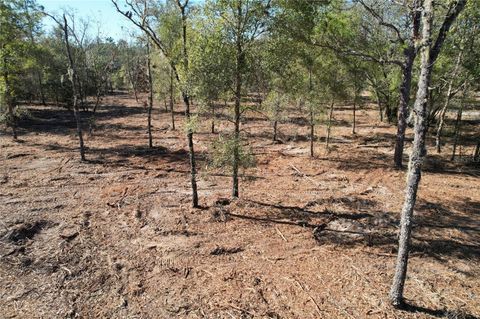 Tiny photo for NE 116th Street, Archer, FL 32618 (MLS # O6370229)
