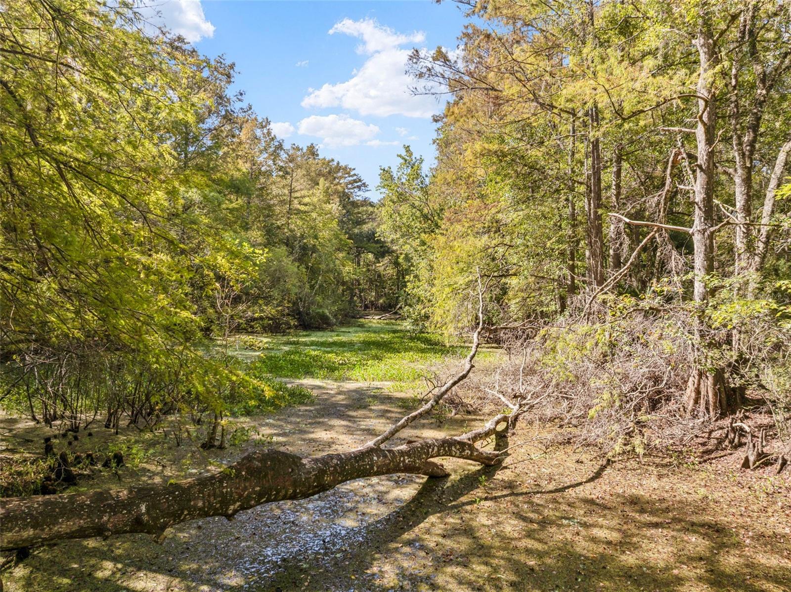 UNREC TRACTS IN 01-21S-20E - Residential