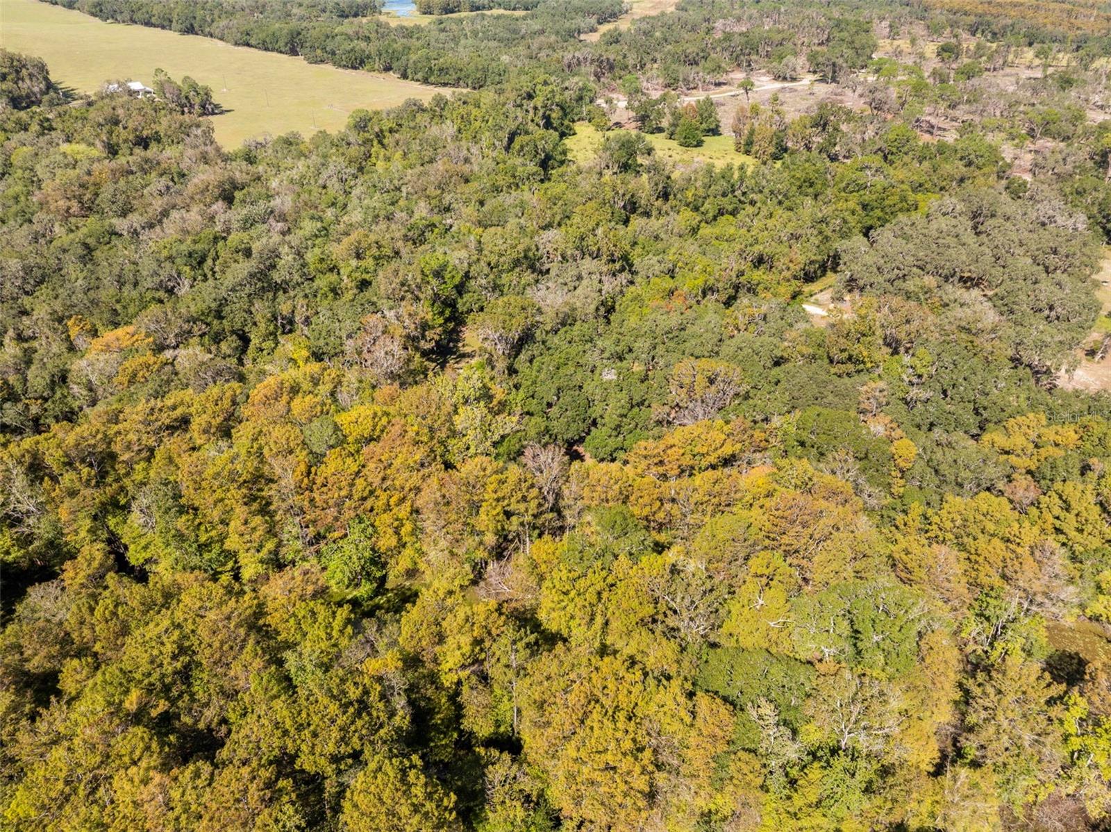 UNREC TRACTS IN 01-21S-20E - Residential