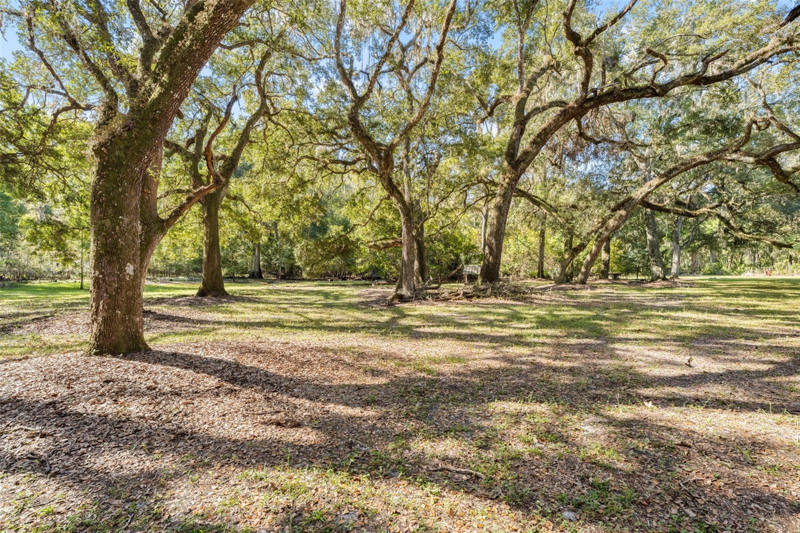 UNREC TRACTS IN 01-21S-20E - Residential