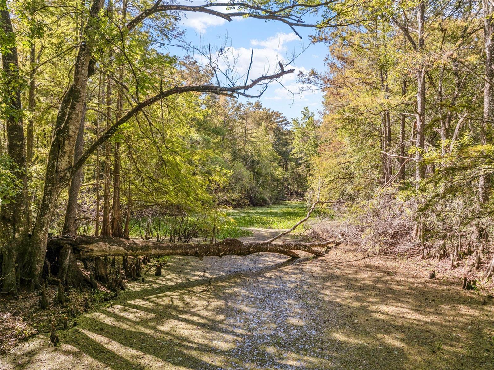 UNREC TRACTS IN 01-21S-20E - Residential