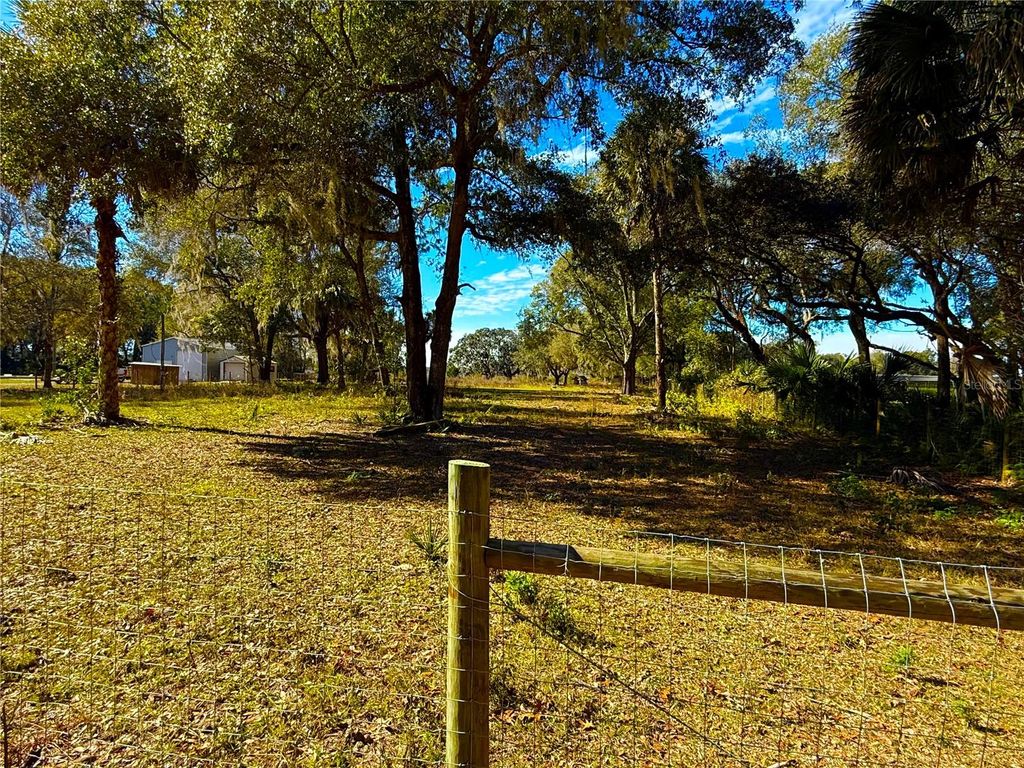 Photo of 1800 Stone Road, Pierson, FL 32180 (MLS # V4946856)