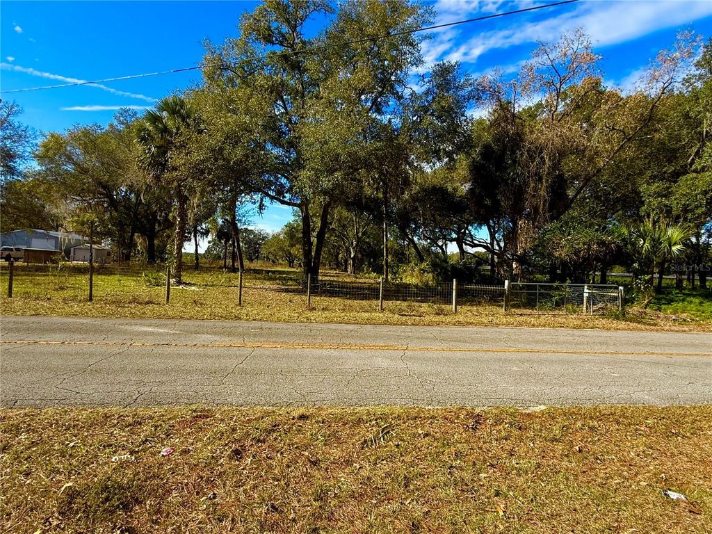 Photo of 1800 Stone Road, Pierson, FL 32180 (MLS # V4946856)