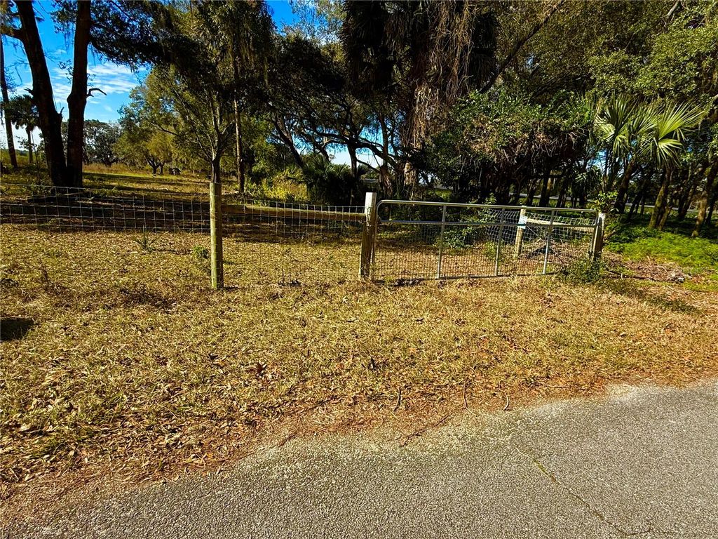 Photo of 1800 Stone Road, Pierson, FL 32180 (MLS # V4946856)
