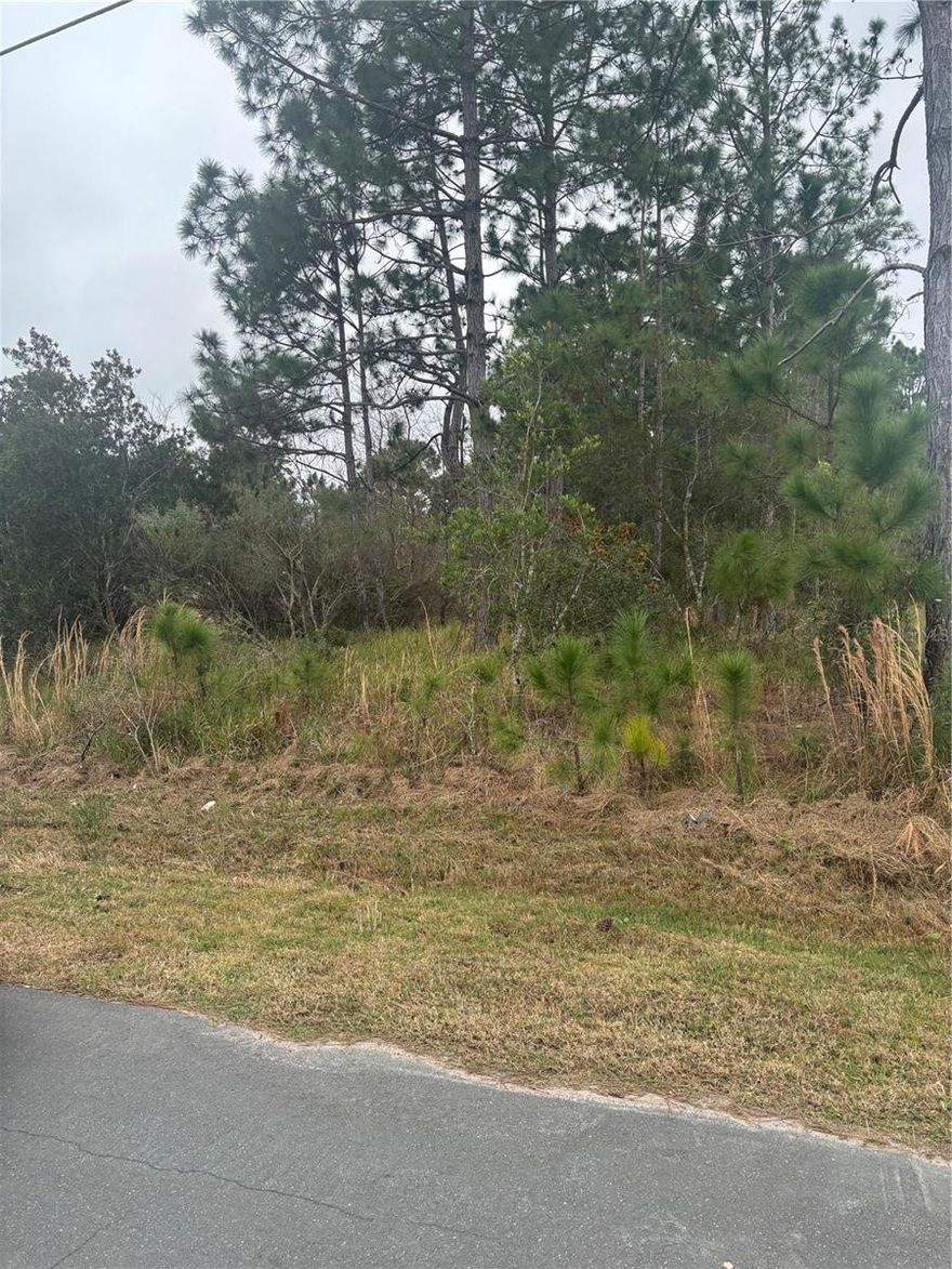 Prime homesite available in sought-after Matanzas Woods! Build now or hold for future investment. Spacious lot, great location just minutes from I-95 and U.S. Route 1. Drive by and see the potential for yourself.