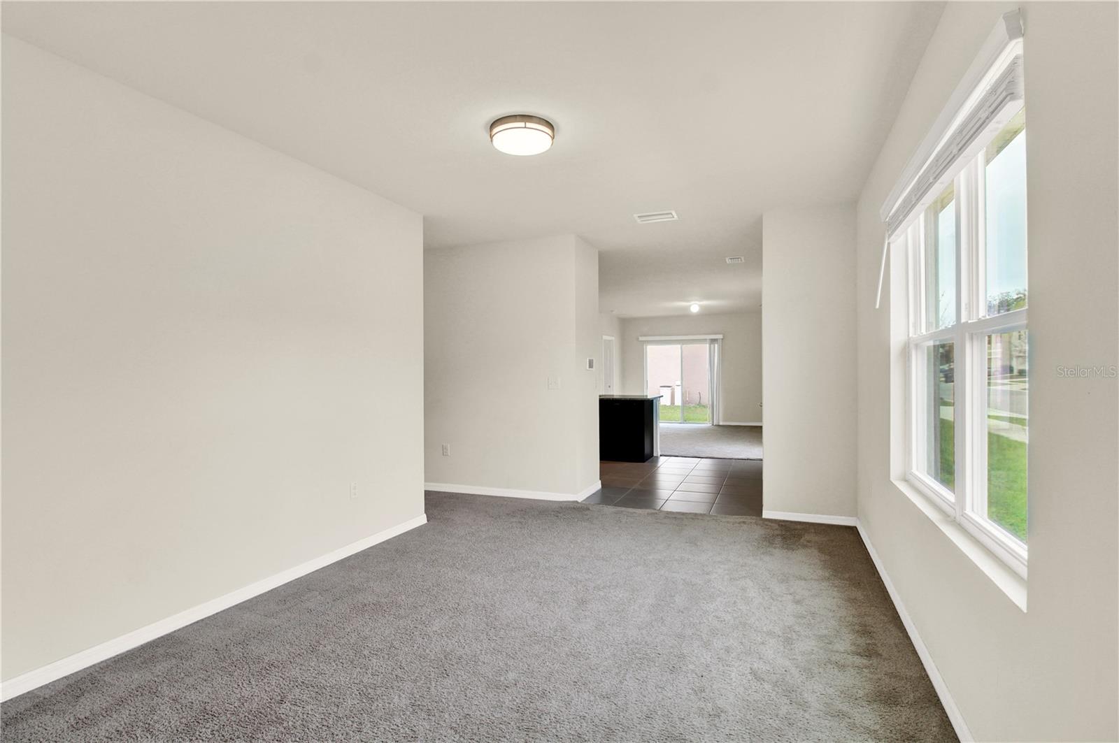 3503 DIAMOND LEAF COURT