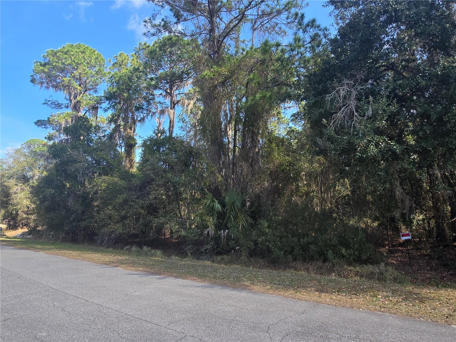 LAKE LOCHLOOSE SHORES - Land