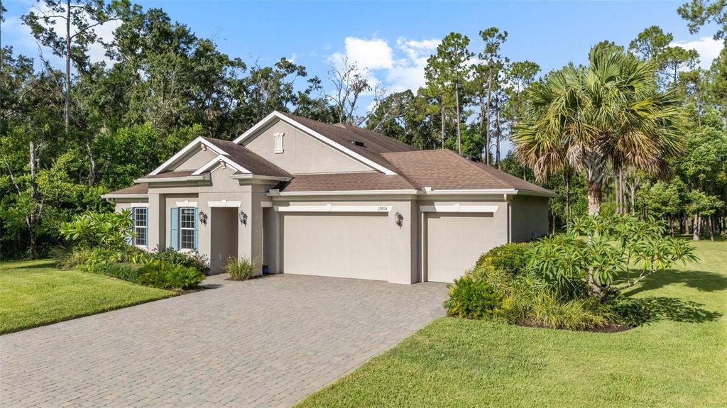 Photo of 17804 Waterway Creek Drive, Lutz, FL 33549 (MLS # TB8412744)