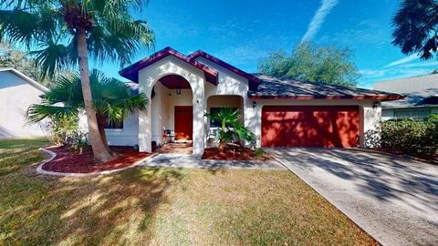 A home in PALM COAST