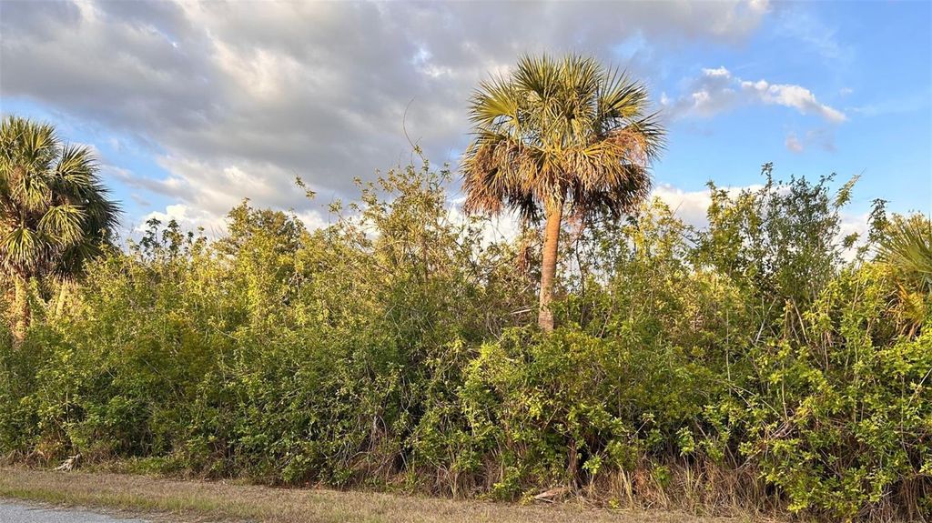 Photo of 1264 Forrestal Street, Port Charlotte, FL 33953 (MLS # C7509584)