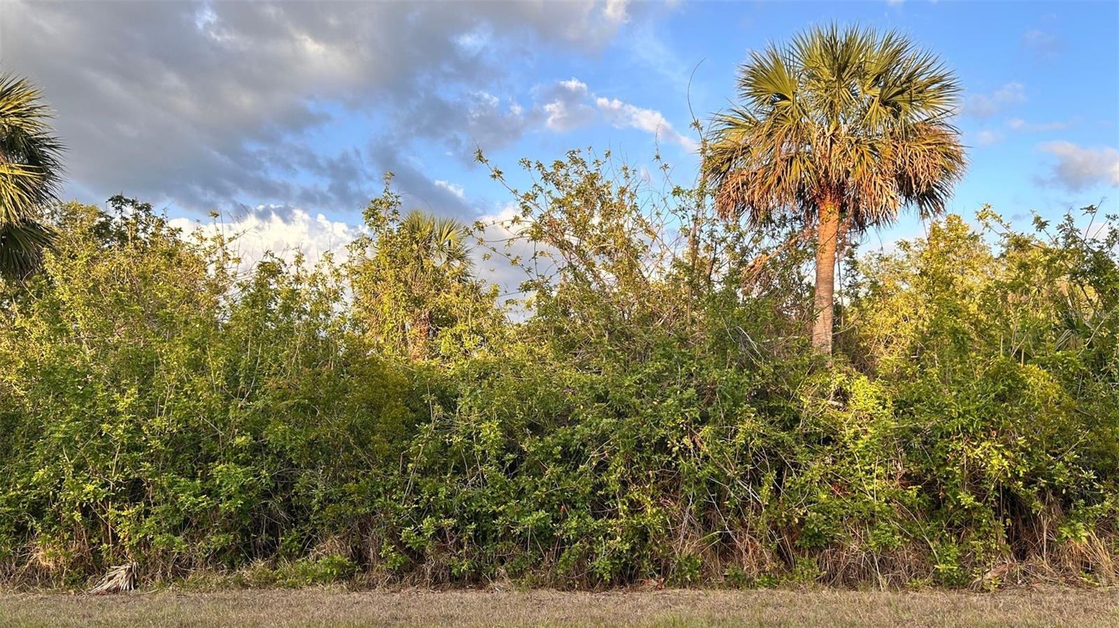 *PRICE REDUCTION* Ready to build your dream home? Looking to add to your investment portfolio? Conveniently located close US-41 and a short drive to shops, restaurants, parks and gulf coast beaches! Enjoy the Florida lifestyle with an abundance of outdoor activities, world class beaches, boating, golfing and more. Close to the Myakka River! The Port Charlotte Sports Park is just a 10 min drive, where you can watch the Tampa Bay Rays Baseball team spring training!! No HOA, no CDD fees! Not in a flood zone! All offers must be submitted in writing.