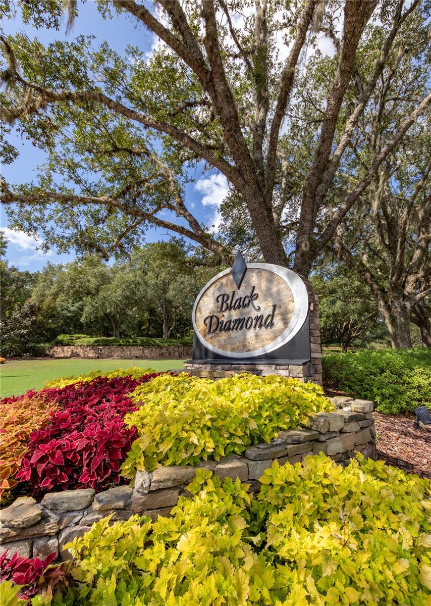 BLACK DIAMOND RANCH - Residential