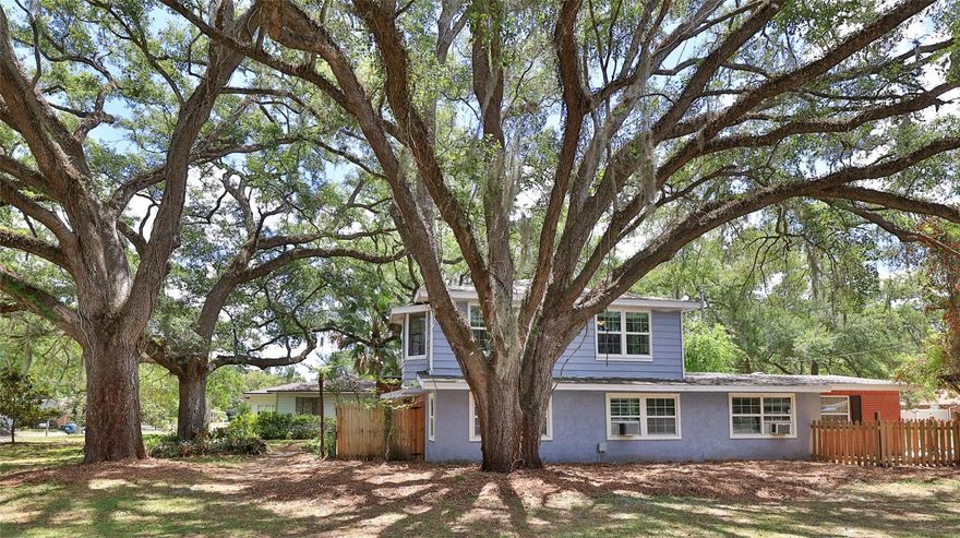 Welcome to this captivating 1947 home on a stunning 0.234-acre corner lot, featuring a newer roof (2025) and extraordinary custom wood cabinetry and woodwork throughout—each detail lovingly crafted by a skilled owner master carpenter. Offering 3 bedrooms, 3 bathrooms, and 1980 square feet of living space, this property boasts a downstairs primary suite with en-suite bathroom, his & hers closets for comfort and convenience, plus a downstairs office perfect for remote work. The expansive 12’x27’ gathering room provides a welcoming setting for family and friends, while the chef’s kitchen (18’x16’) blends gourmet functionality with authentic charm. Upstairs, discover two bedrooms, a full bath, and a cozy loft area. Workshop & Shed provide storage and a space for your own creativity. Located on 20th Street bordering the historic Sanford district, you’ll enjoy nearby marina, vibrant dining, golf cart-friendly streets, and a lively downtown filled with local shops and community events. Easy access to major highways makes commuting a breeze. This home is ready for your personal touches, with endless potential to create a lush oasis on the generous lot. Experience unique craftsmanship and the pulse of historic Sanford—your new story awaits. 3 of the photos are virtually staged.