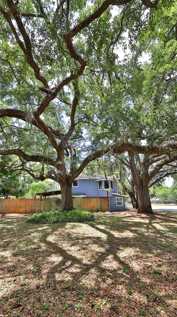 MAGNOLIA HEIGHTS - Residential